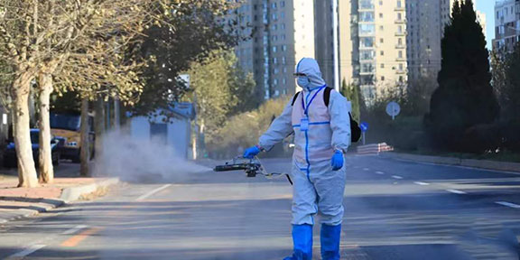 大連殺蟲,市內(nèi)的飛蟲如何防治